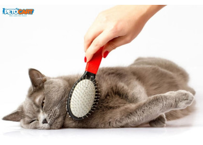 Amazing Selection of Cat Grooming Supplies at Super Low Prices